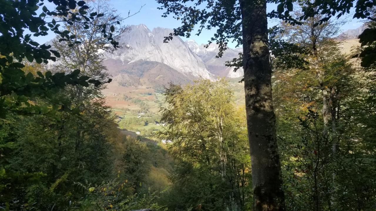 Gite De Montagne Du Plateau De Lhers- Accueil Randonneurs Accous Luaran gambar