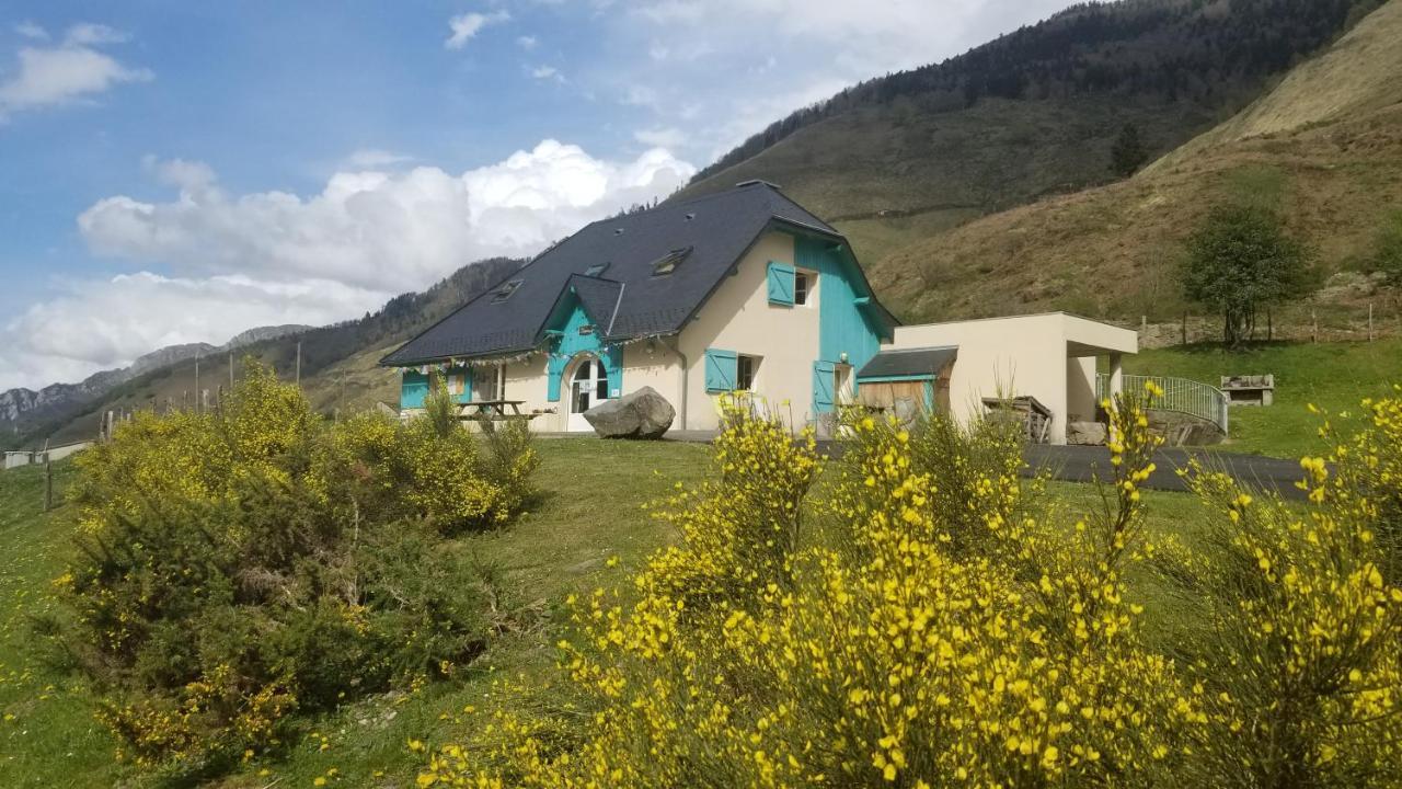 Gite De Montagne Du Plateau De Lhers- Accueil Randonneurs Accous Luaran gambar