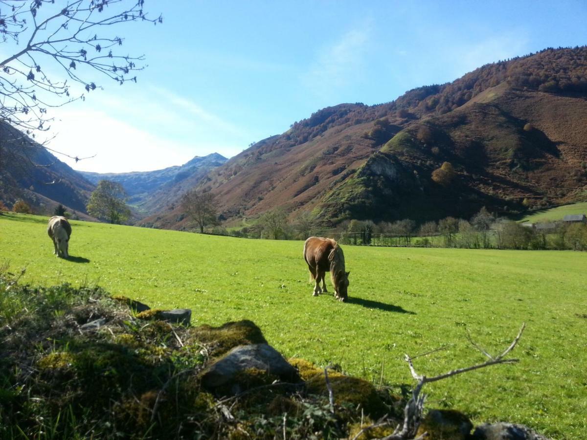 Gite De Montagne Du Plateau De Lhers- Accueil Randonneurs Accous Luaran gambar