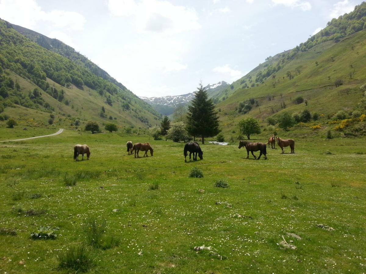Gite De Montagne Du Plateau De Lhers- Accueil Randonneurs Accous Luaran gambar