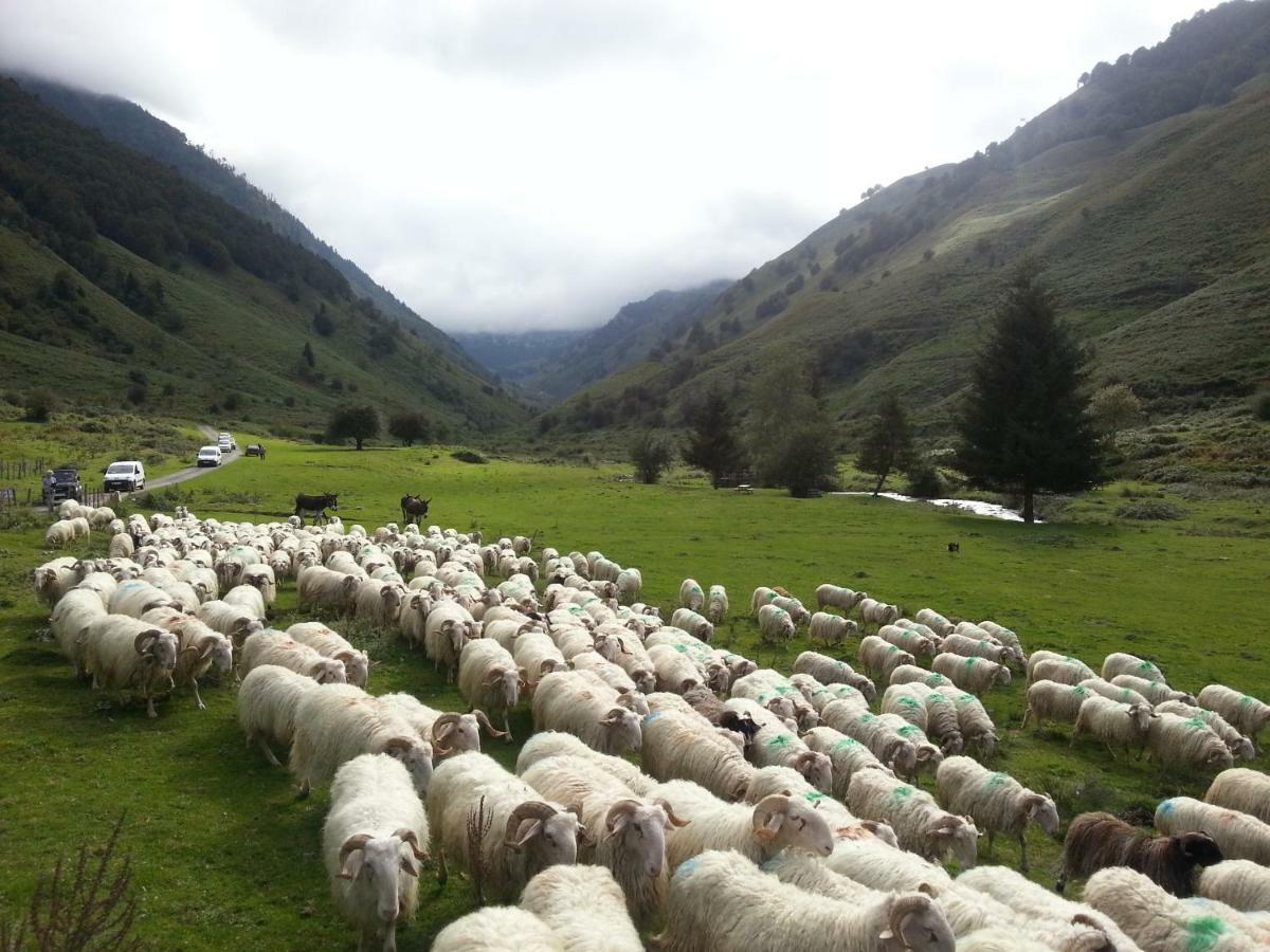Gite De Montagne Du Plateau De Lhers- Accueil Randonneurs Accous Luaran gambar